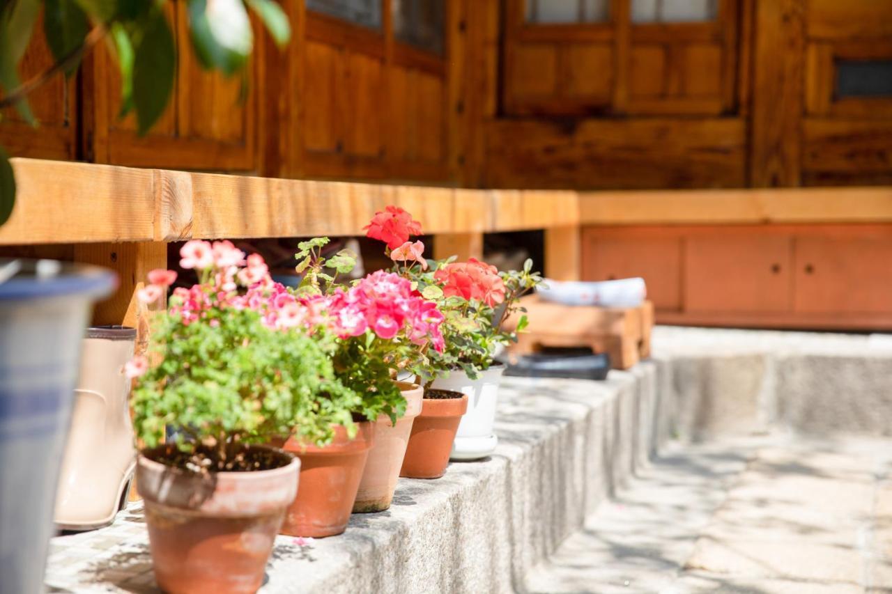 Dongmyo Hanok Sihwadang - Private Korean Style House In The City Center With A Beautiful Garden โซล ภายนอก รูปภาพ
